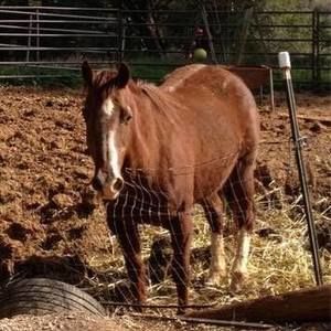 Meet your Posher, Lea